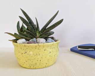 A sweet little planter for your shelf.