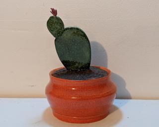 A whimsical little planter, complete with a cactus that never needs watering.
