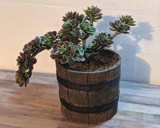 Adorn your home with this one of a kind glazed planter.