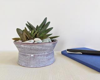 A sweet little planter for your shelf.
